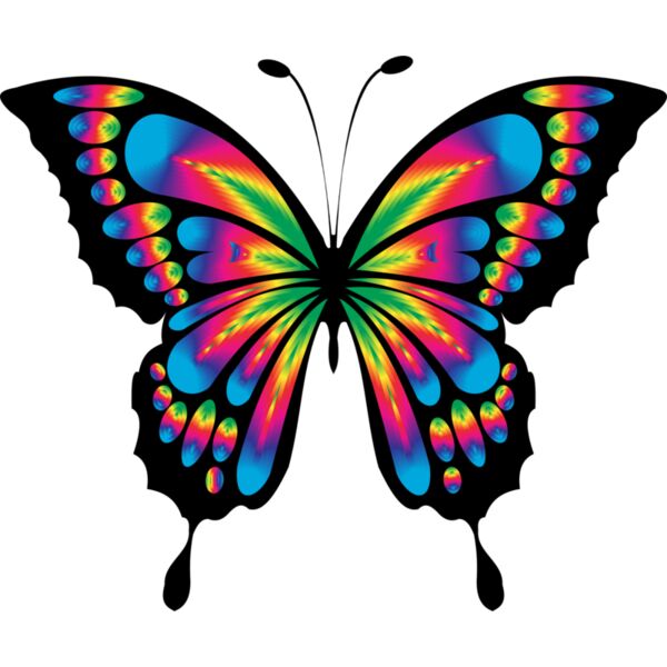 Rainbow Butterfly Thumbnail