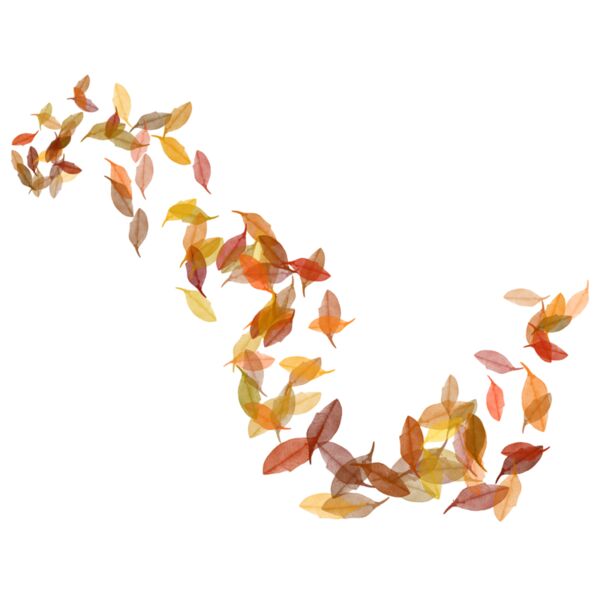 Autumn Leaves Thumbnail